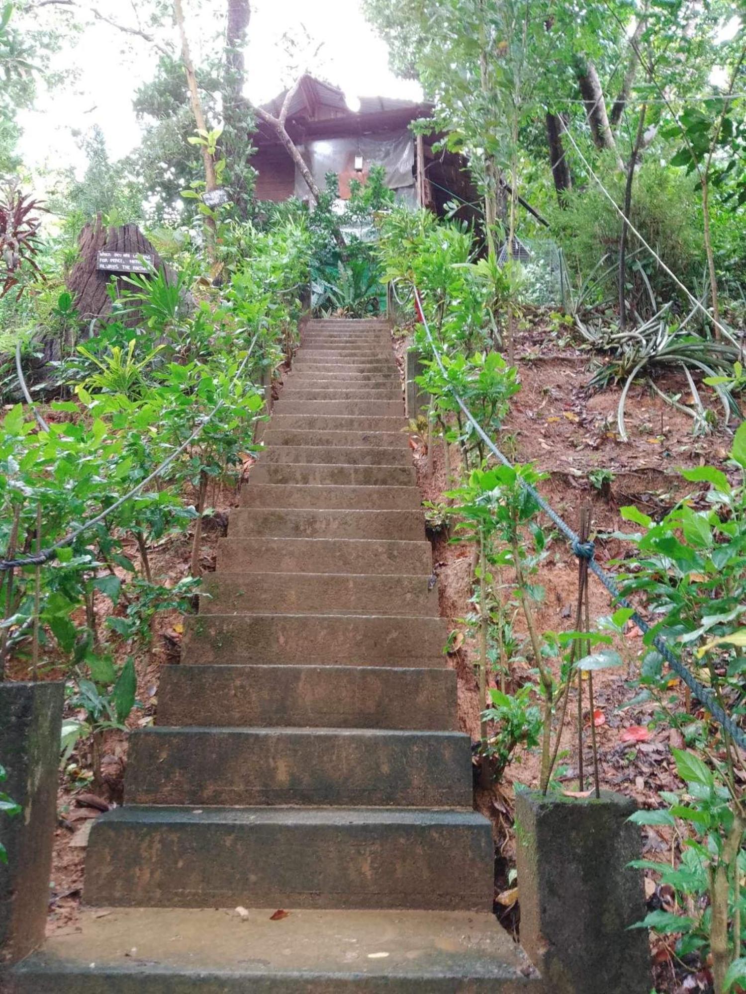 Camp Talusi Hills Overlooking El Nido Exterior foto