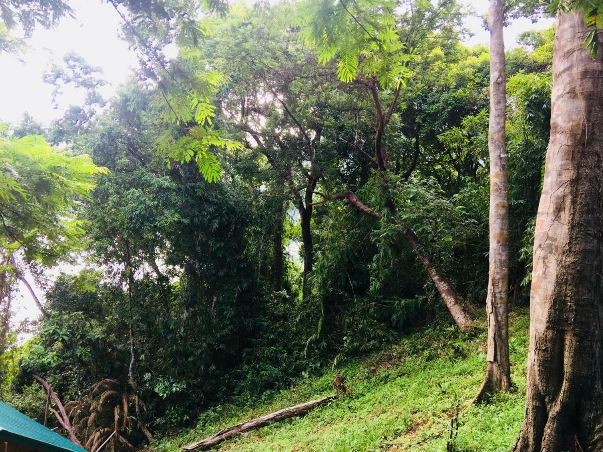 Camp Talusi Hills Overlooking El Nido Exterior foto