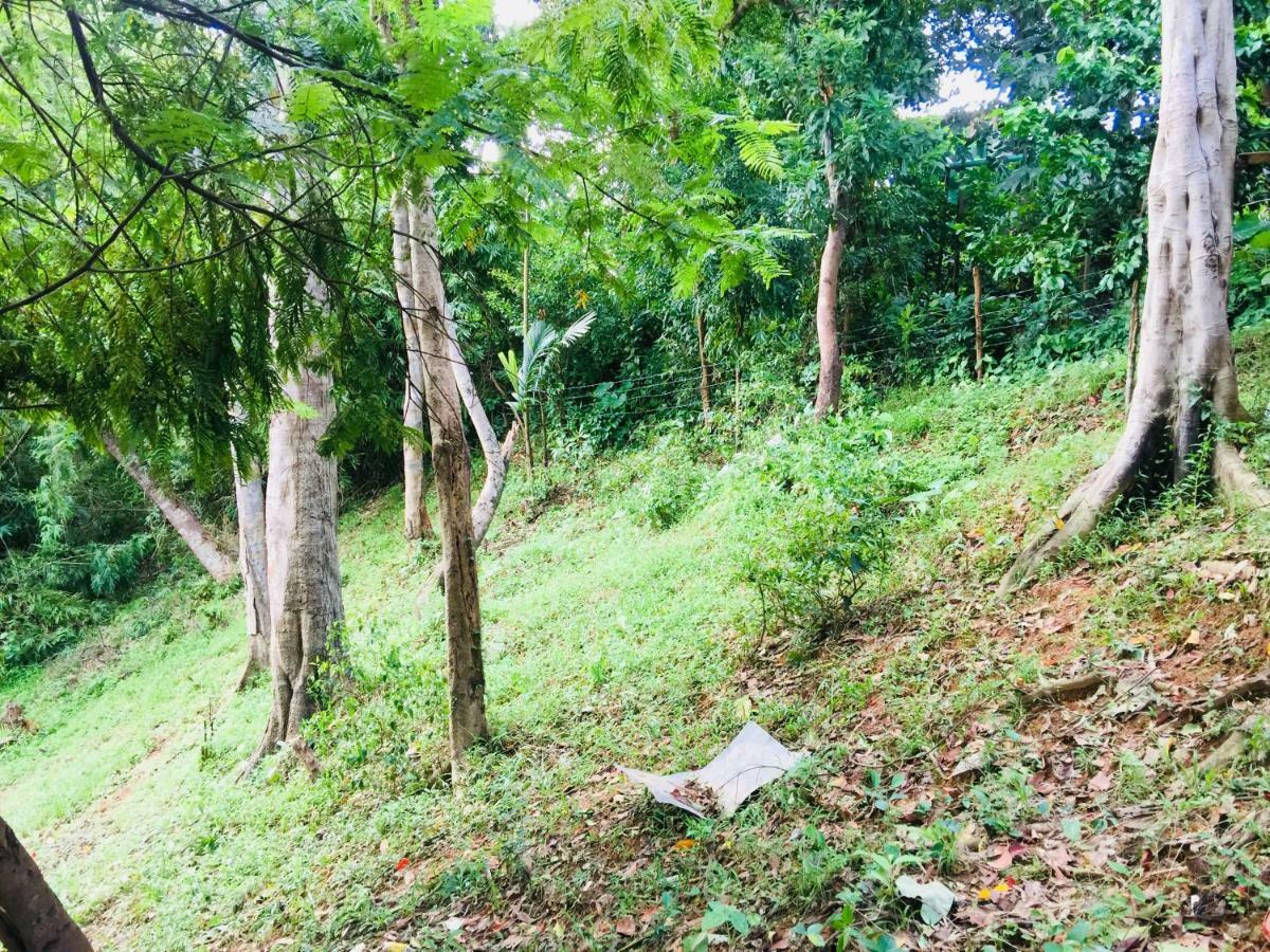 Camp Talusi Hills Overlooking El Nido Exterior foto