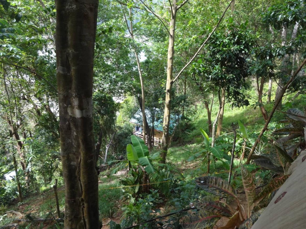 Camp Talusi Hills Overlooking El Nido Exterior foto